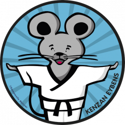 Stage Judo Eybens